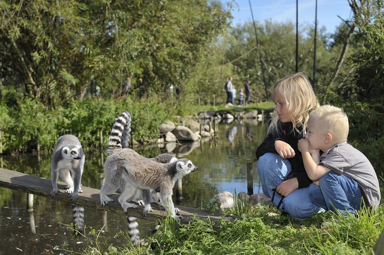 Kunderbjudande Ree Park